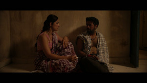 Missing Mahila (2026) Hindi Season 1 Shemaroo WEB Series